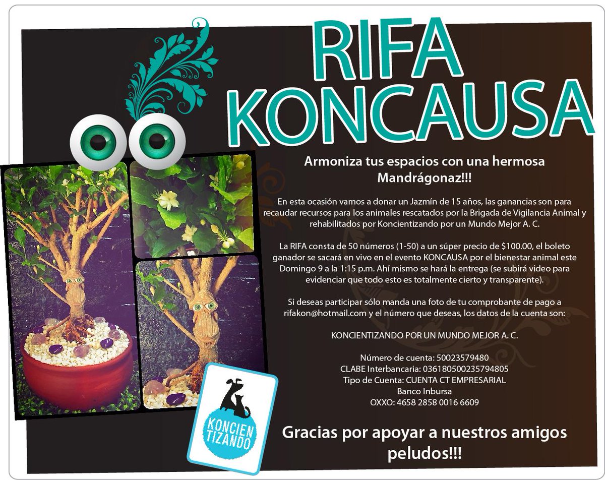 Mandragonaz's tweet photo. Participa y gana una hermosa @Mandragonaz!!!
Rifa a beneficio de @koncientizando!!!
Apoya, comparte y participa!!😺🌳🐶 http://t.co/NpOymAHk1B