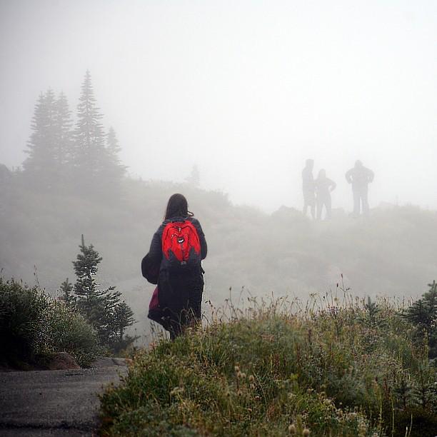 chinookpassnews's tweet image. At ift.tt/1IboDxW -- #MountRainier #redbackpack #mochilavermelha #volcano #vulcão #trip #viagem #mountain…