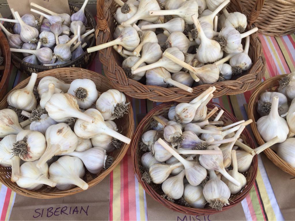 CFMarket's tweet image. Gorgeous hardneck garlic varieties from Green Seed Farm today at the market. #ohiogrown