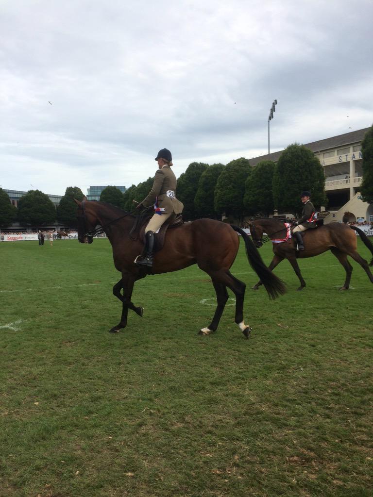 Well done <a href="/joanne_quirke/">Joanne Quirke</a>! Two in a row <a href="/DublinHorseShow/">Dublin Horse Show</a> for Paddydeplasterer.
