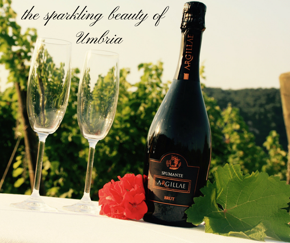 Argillae's tweet photo. The winner of our contest is @touristbychance!! The caption: #Argillae #Spumante, the sparkling beauty of #Umbria http://t.co/FHZofroC1w