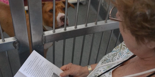 goodreads's tweet photo. This Woman Comforts Shelter Dogs By Reading Them Children's Books http://t.co/ONJ2dT5V6R http://t.co/umt0KSLfw7