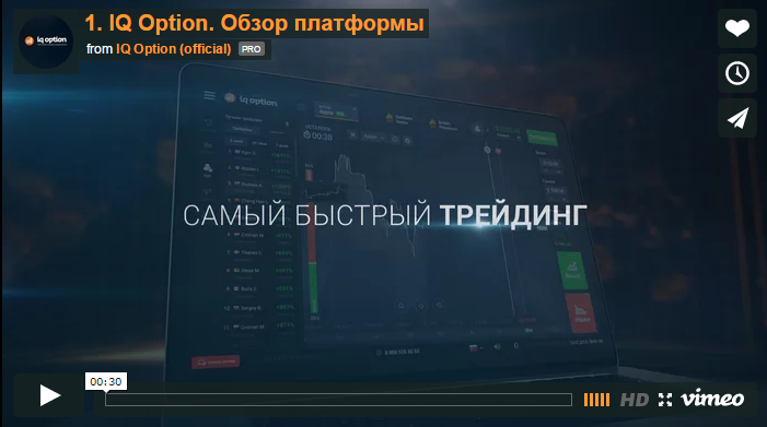 Qoption tweet picture