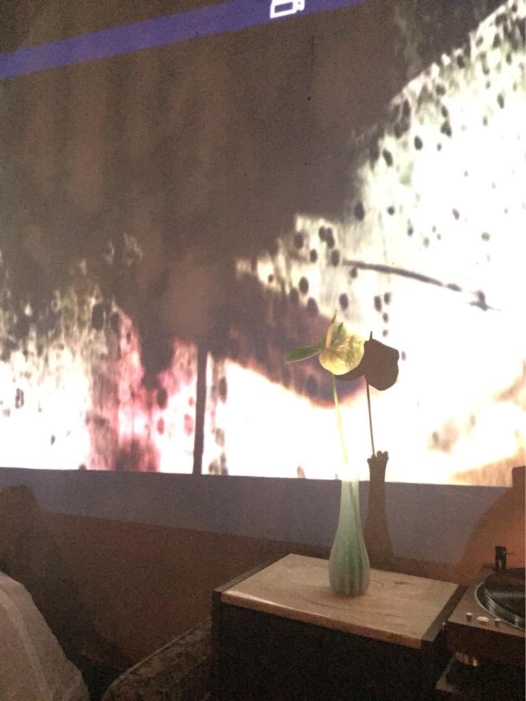 saaraadaa's tweet photo. 行きつけのところが8周年記念でライブ映像流してた
映像と花の感じがとてもイイ http://t.co/5ZnUfZQZ8u