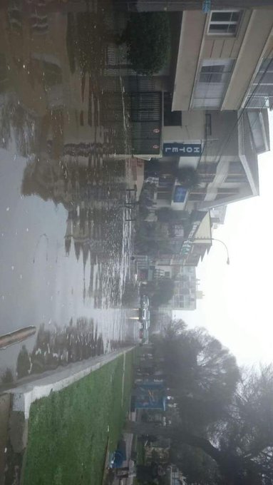 View image on Twitter