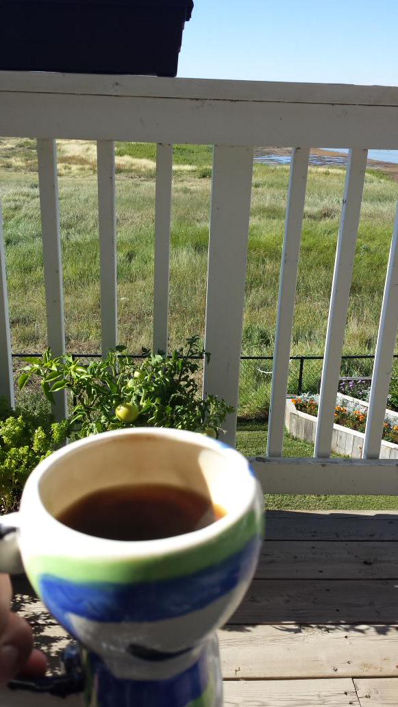 lesterbenz's tweet photo. when can deck coffee become deck beer?
#nottooearlyisit ? http://t.co/llshkpKeu5