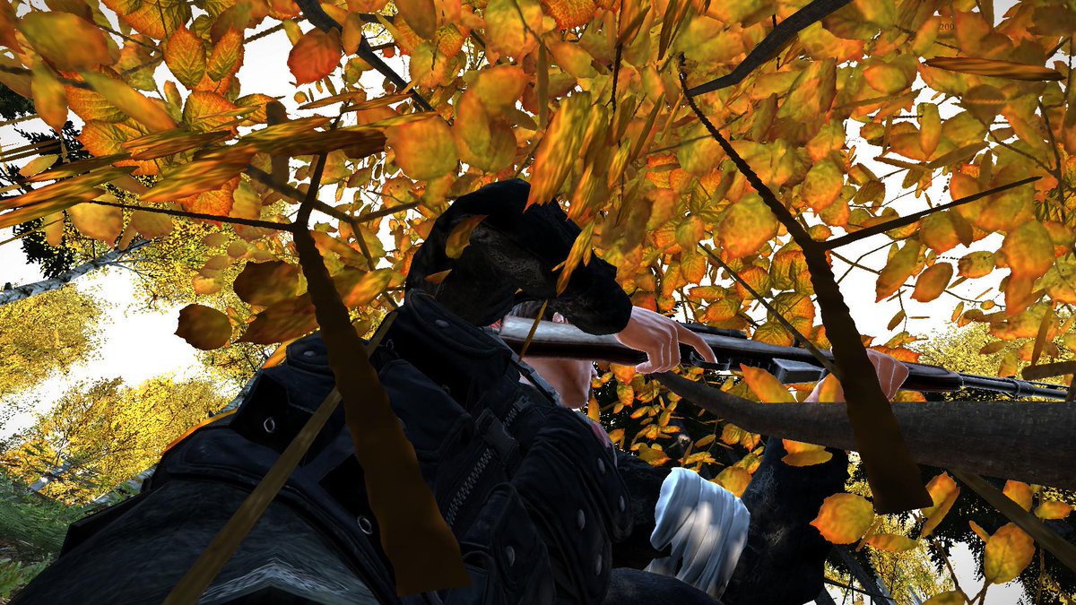 DaneVisser's tweet image. Novo is too quiet... @Qapon3 @Masdi_Dayz @Shott_Random