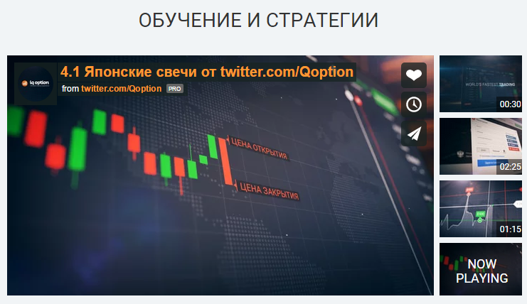Qoption tweet picture