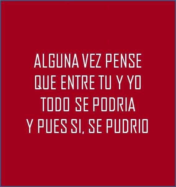 Frases____Insp's tweet image. Se pudrió...