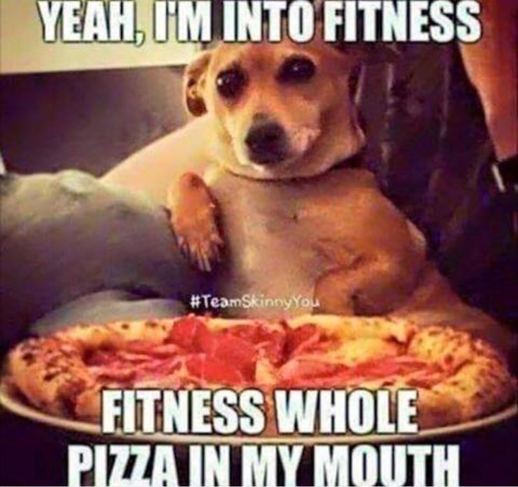 DoublePuggle's tweet photo. Isn't that the truth 🍕 🐶 #Weekend #PizzaParty #LOL #FunnyDogs #Puggle #PuggleProbs http://t.co/8U3gs632ae