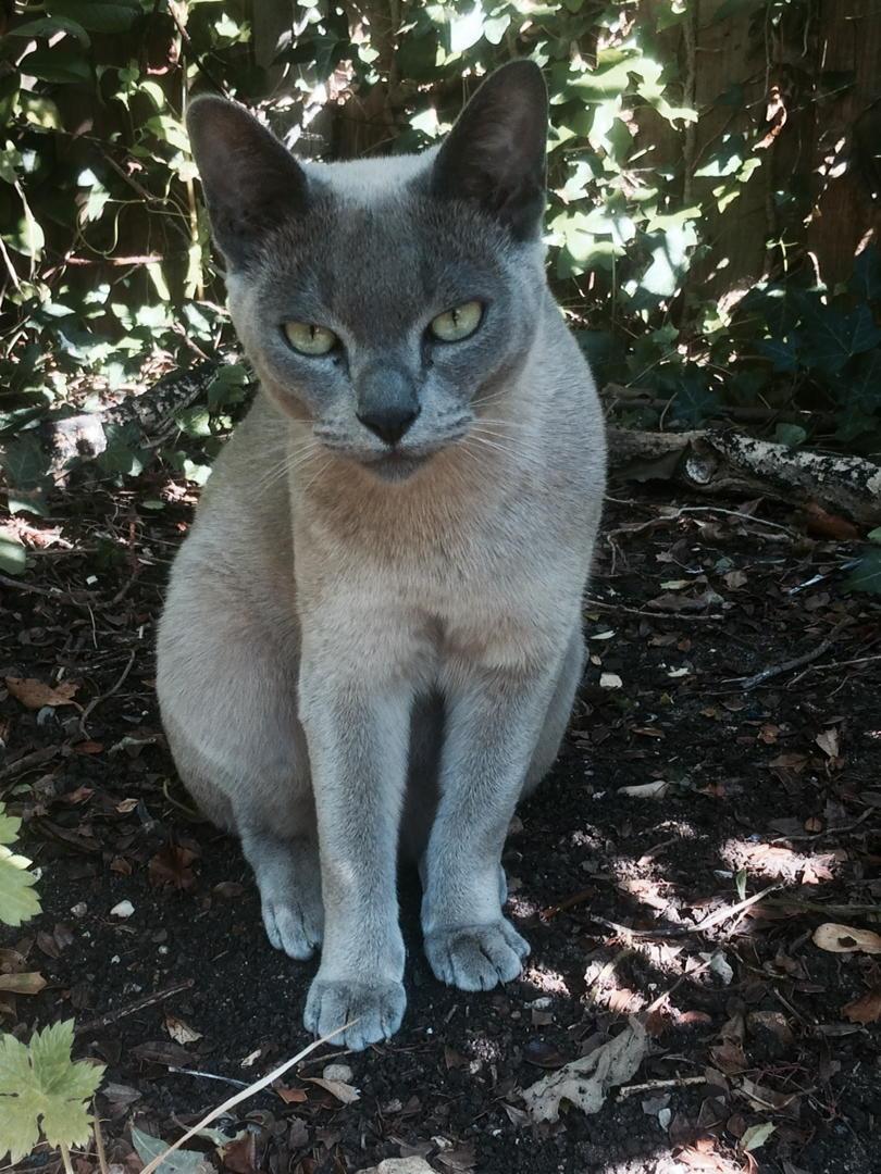 Flospots's tweet photo. Very hot, I'm in the shade. #hotFloss http://t.co/8qC7nYXM08