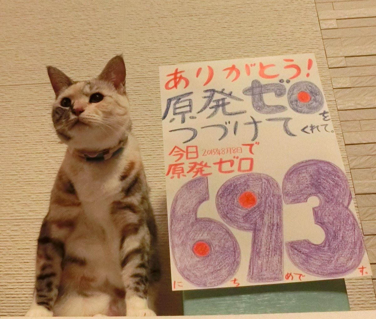umediary's tweet photo. #原発ゼロカウントダウン
川内原発の再稼働はあまりにも危険だと聞きました。
どうか人間の皆さまの願いが叶って再稼働が阻止されますように!吉田なな(ネコ・8歳)
#本当に止める肉球で止める
https://t.co/pbAXOOcT2w http://t.co/VYMTxmKX64