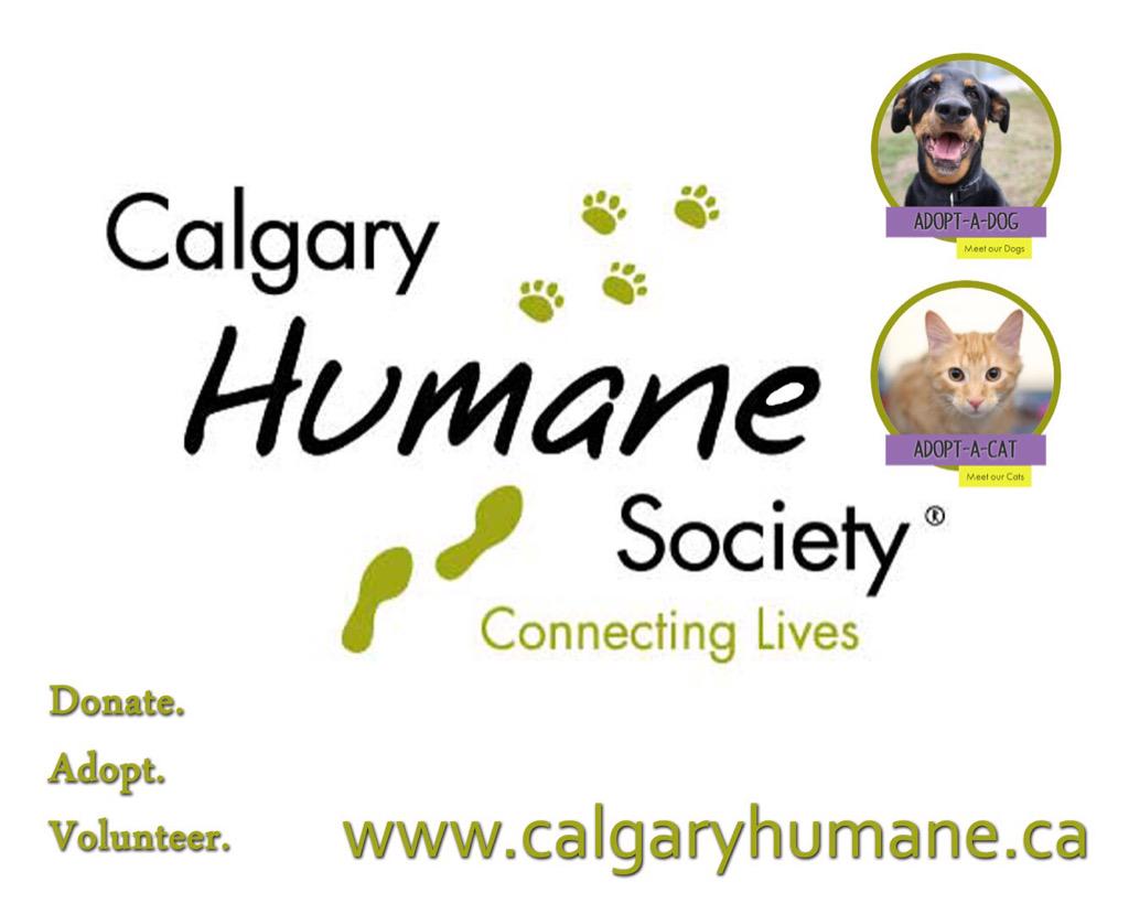 illmotion's tweet photo. We will be supporting @CalgaryHumane tmrw! Come visit us at Max Bell. #illmotionss2015 http://t.co/3Tge0ZS9HN