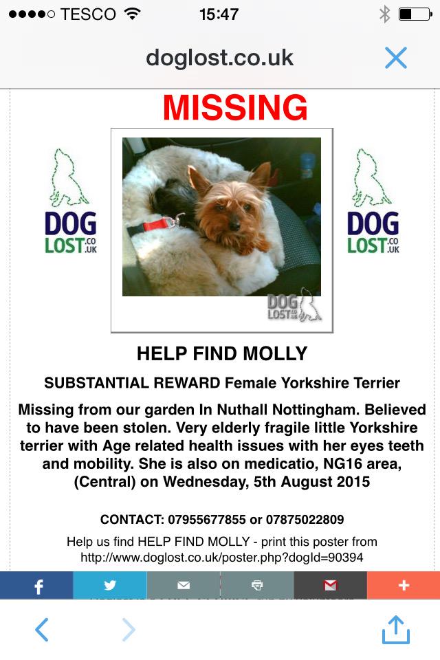 notts_lost_dogs's tweet photo. Please RT #lostdogs #missing #nottingham #nuthall #ng16 http://t.co/8nsqd67nSg