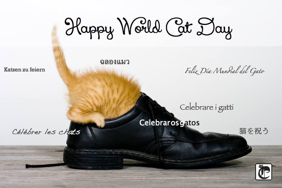 Happy #WorldCatDay #CatsOfTwitter and #CatsOfTheUniverse 🌎😺