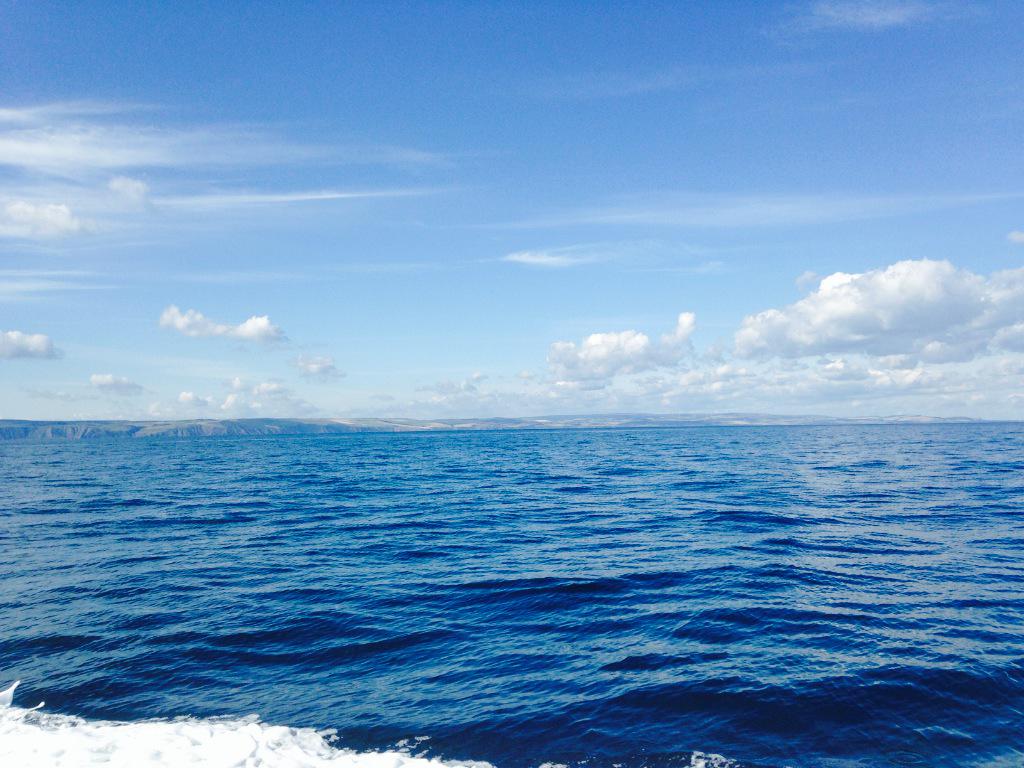 SarahJ_Diving's tweet photo. Fantastic conditions @divestay @EyemouthHarbour #ukdivjng #ccrdiving http://t.co/pPdq7yC6Zc