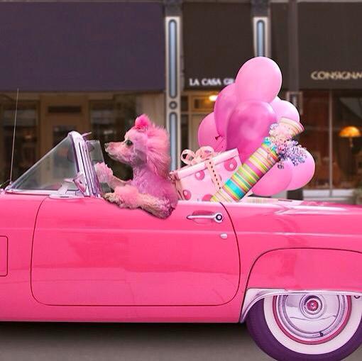 Me, headed to the party!