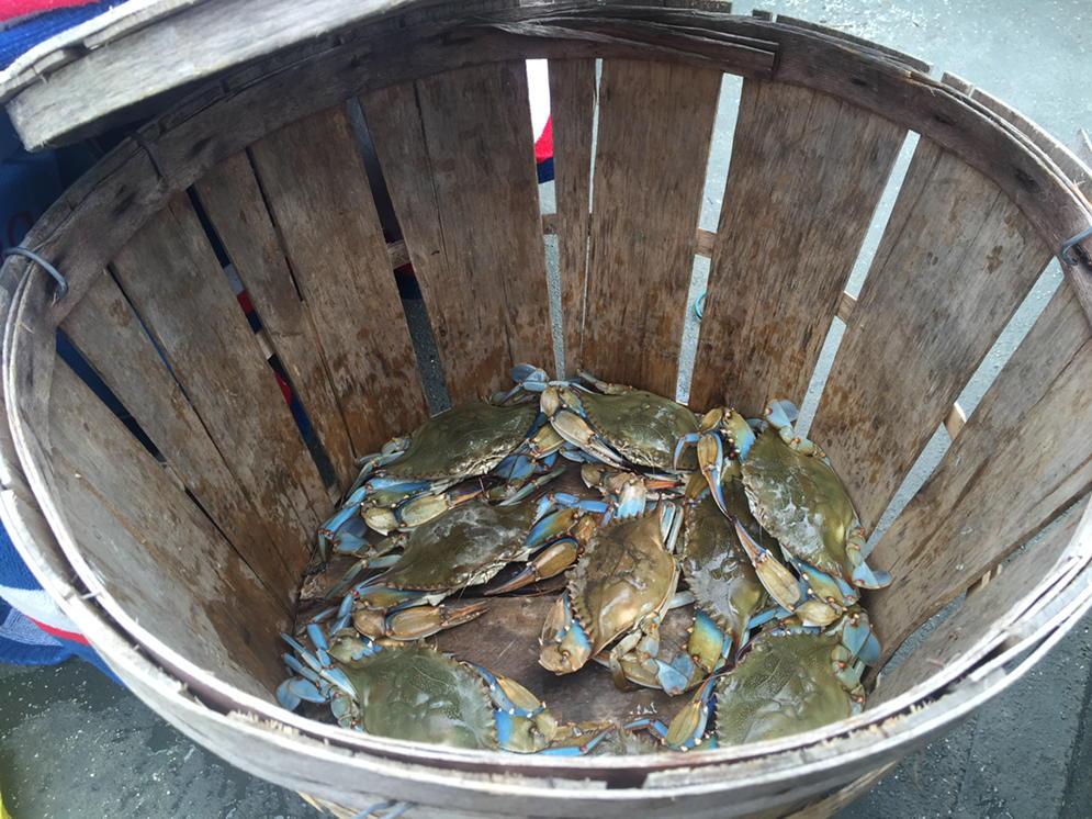 BDB_Maddox's tweet photo. It's a start! #FromTheBoat http://t.co/Ik7C5cHfuM