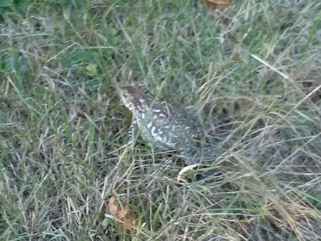 car_intel's tweet image. ,,ÇEX X , @, #,*",”@, xq xq s q X,  , _ ,__X , xx. __ ,,_" ,,,  xx as c.      ,de ,   des des photos