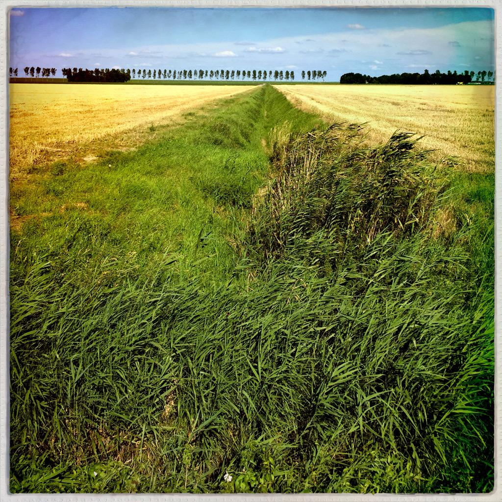 groetuitdronten's tweet image. Volg GroetenUitDronten ook op Facebook.