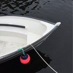 Photo by Sameer Dhargalkar (@thepixelsam)