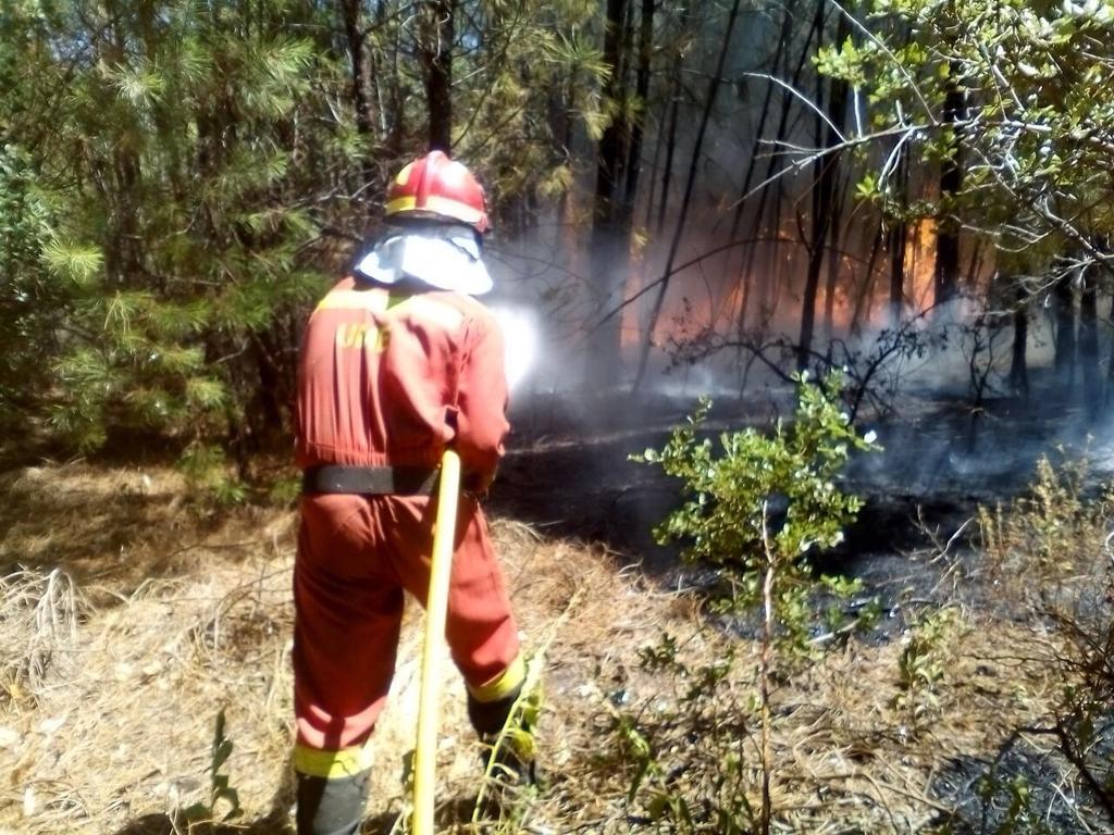 UMEgob's tweet photo. #Actualizamos participación de @UMEgob en #IFAcebo 331 militares con 18 autobombas y 6 nodrizas. http://t.co/NnZeHrlqAm