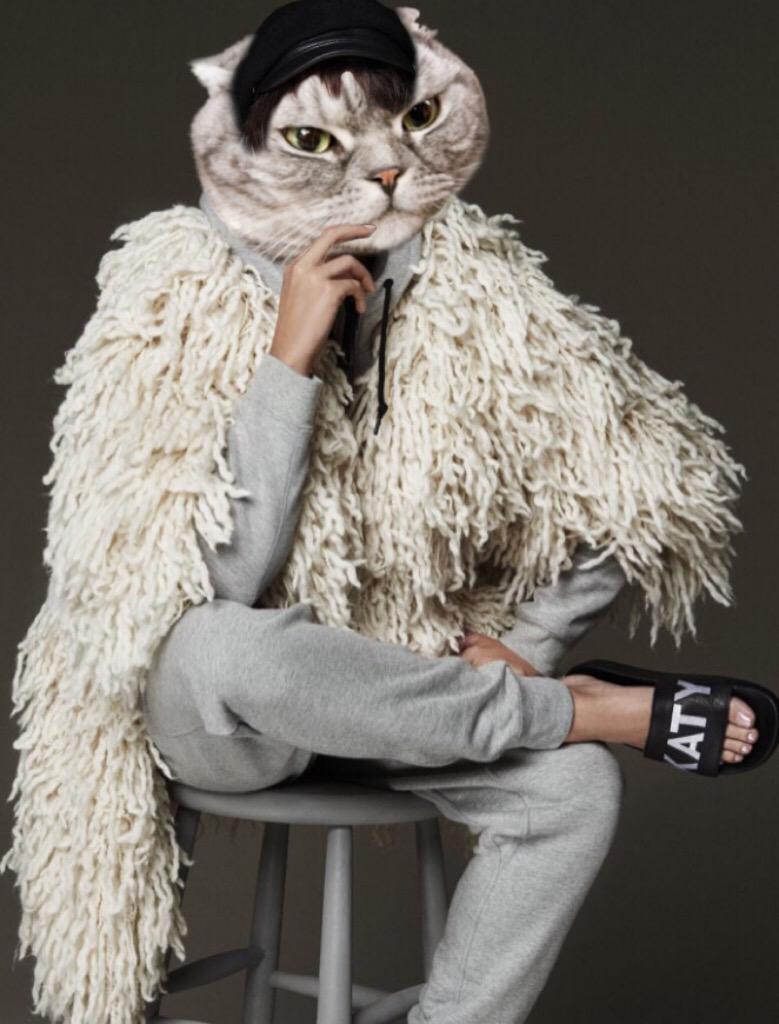 katyperrylately's tweet photo. 😸 Happy #InternationalCatDay! 😸 http://t.co/Er88JDuPAT