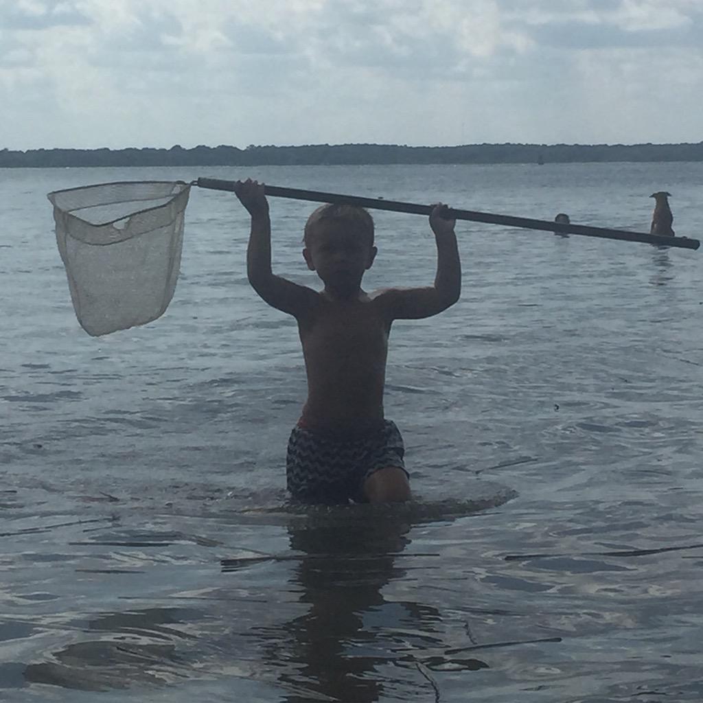 courtney tweet media