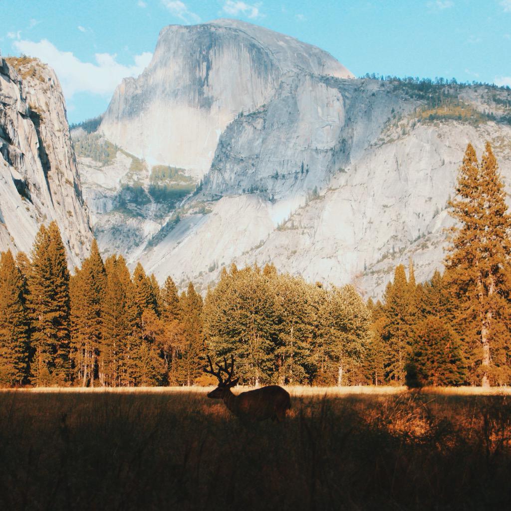 BronCrab's tweet photo. One of my best photos taken in Yosemite http://t.co/RbEG6VVTpF