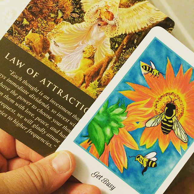 findingmagick's tweet photo. Interesting set of cards as guidance for the week ahead. I draw the "Get Busy" card often … http://t.co/hGh22i2jaT http://t.co/5zbT7PC1lg