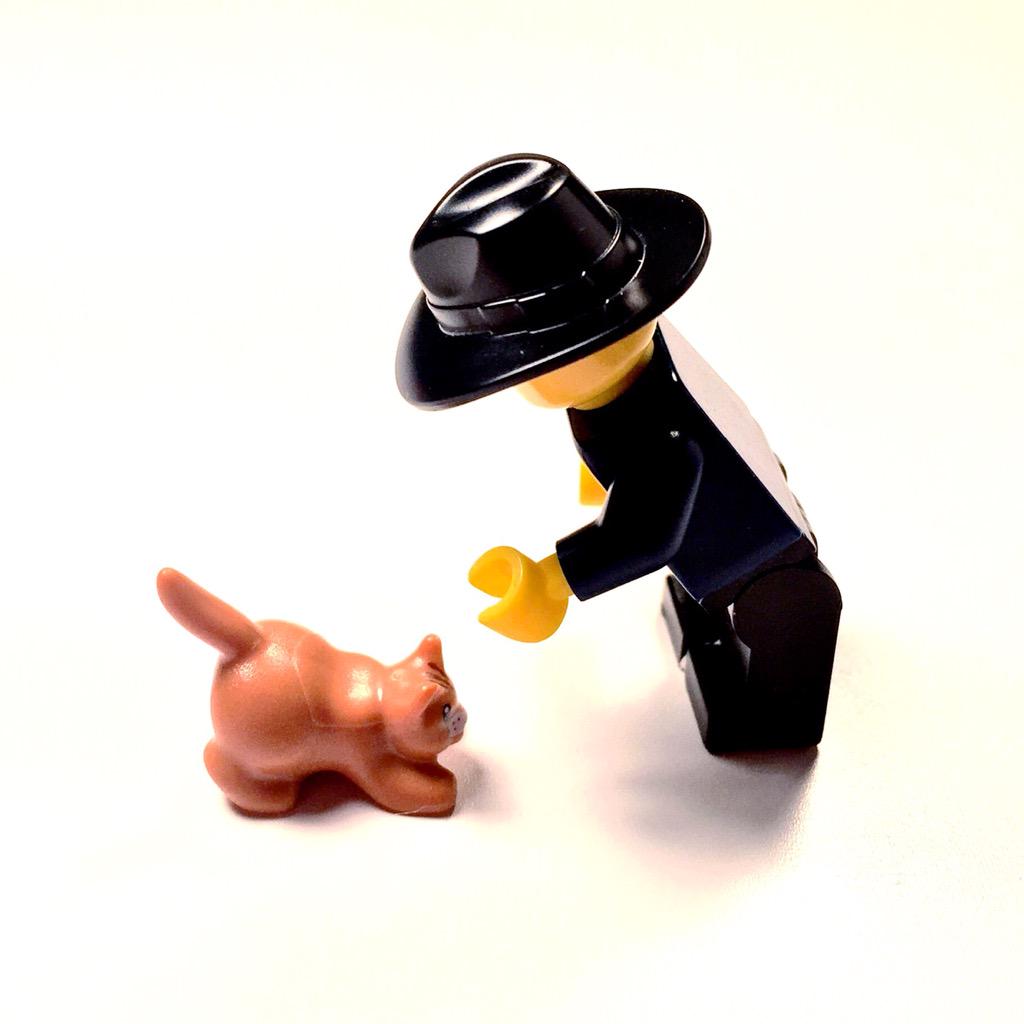 LegomanTakes's tweet photo. Happy #InternationalCatDay! #LegomanTakesCatDay @LEGO_Group http://t.co/czqhpgyhq7