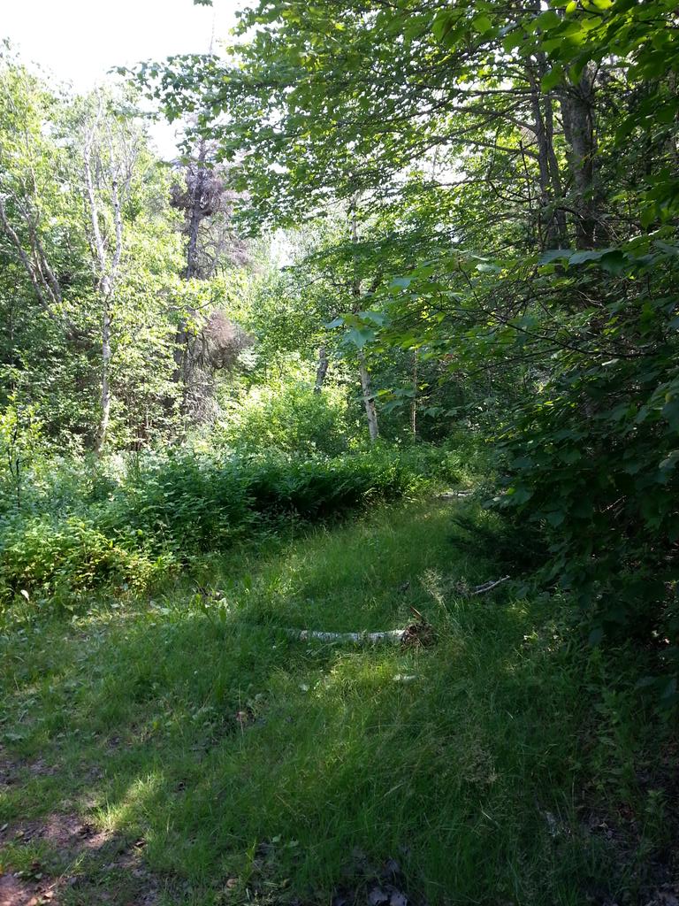 JustJaneAndrews's tweet image. Good hiking days.