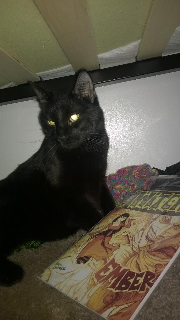. @OneEyedDoll Vecher enjoys the comic. And the thank-you!