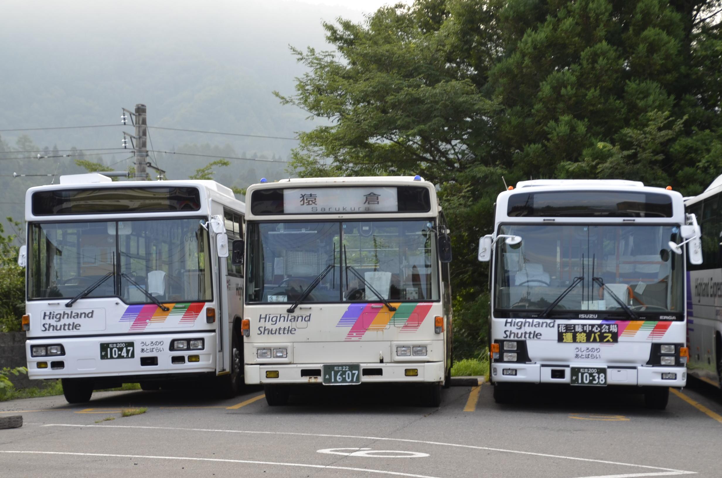 アルビオン s-l400.jpg