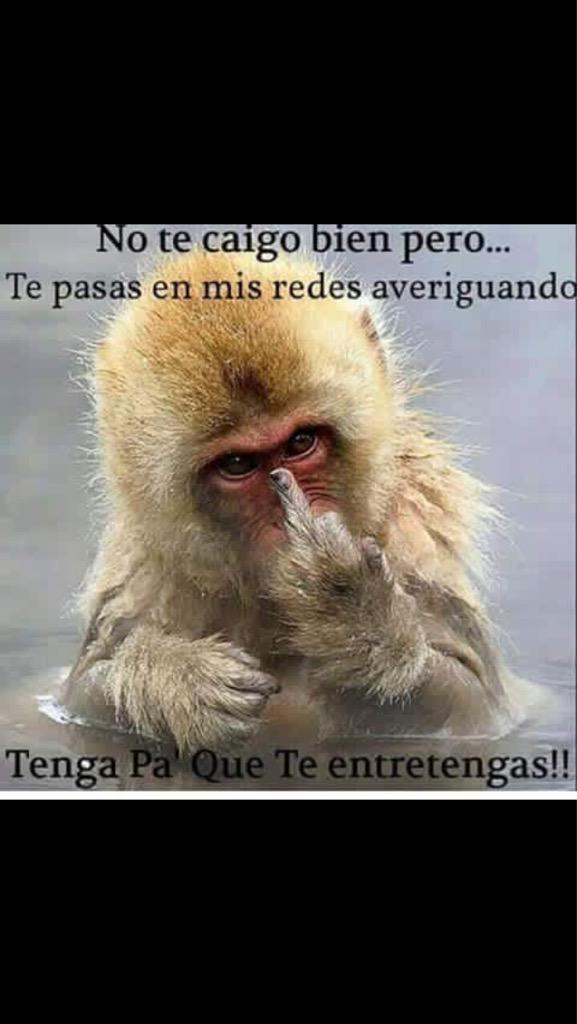 Ceeliaa28's tweet image. Toma esto si va pa tii wajajajajajajaja #oyepapi #keloke