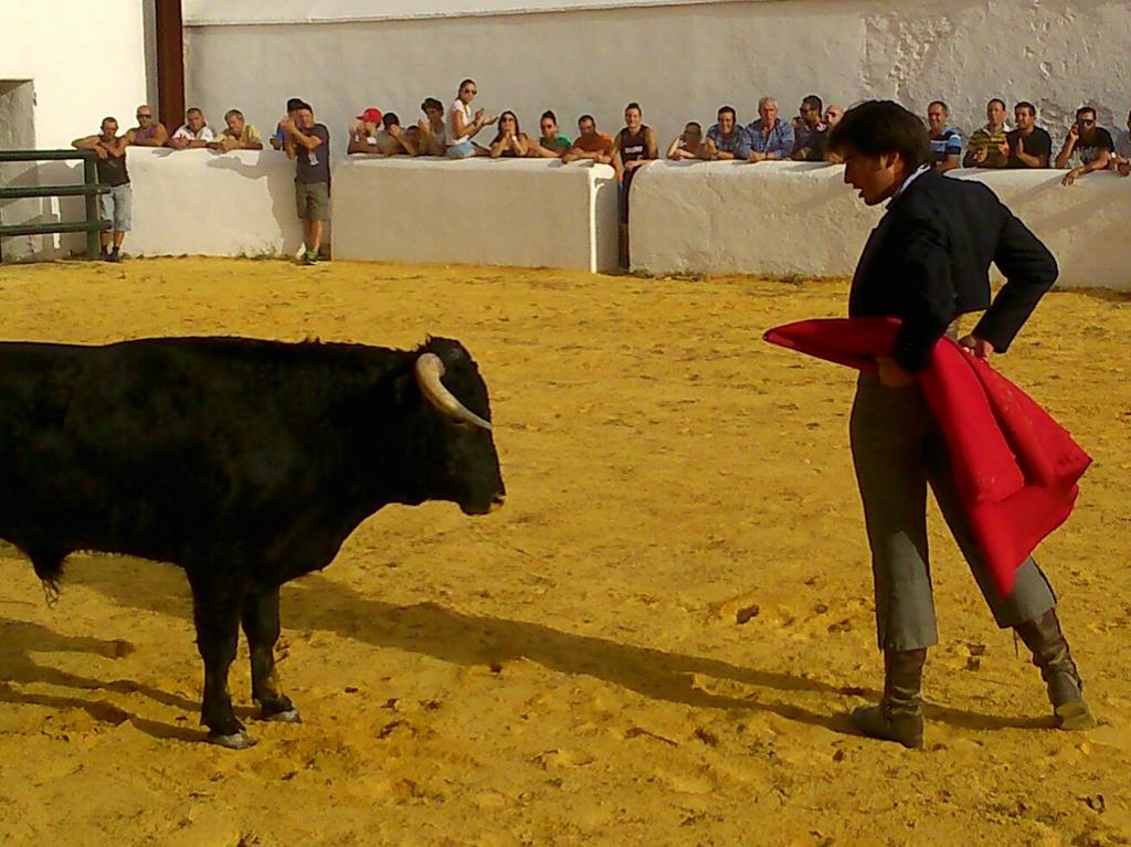MEscacenaPineda's tweet photo. @AFdezPineda ha bordado hoy el toreo en la singular y coqueta plaza de Cumbres Mayores http://t.co/VzcEd7y4pB