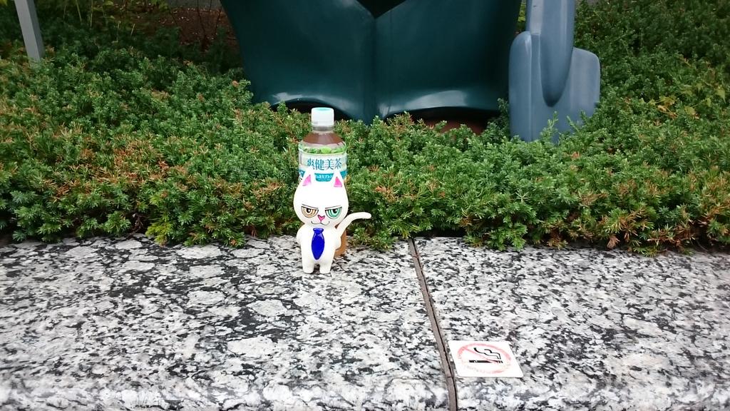 グローイング ガーデナー Twitter Search Twitter グローイング ガーデナー Twitter Search Twitter