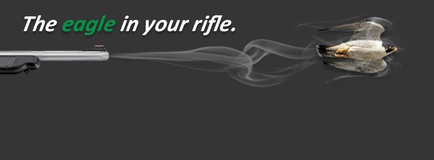 Best_Bullets's tweet image. #Aquinas. #HuntingBullets ow.ly/QyPHw