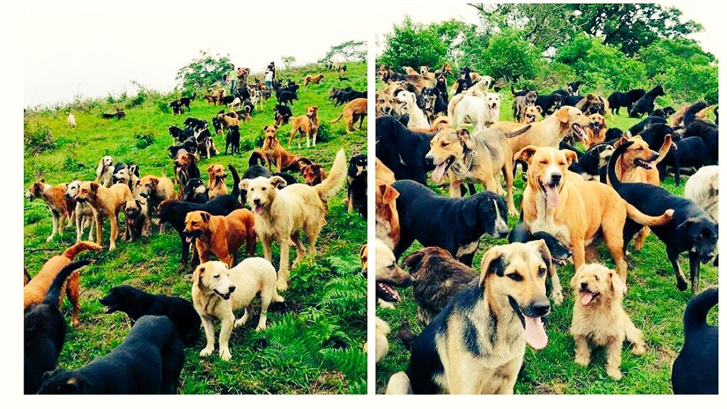 WBrettWilson's tweet photo. Believe in heaven or not - this is the front lawn of my heaven right @JCashWilson?? (looking for #Maja in this pic 😇) http://t.co/gLMceTKwdM