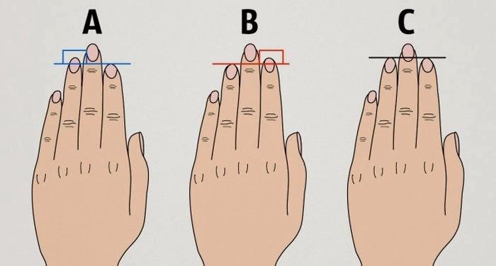 Mau Tahu Kepribadianmu Dari Panjang Jari Tangan - AnekaNews.top