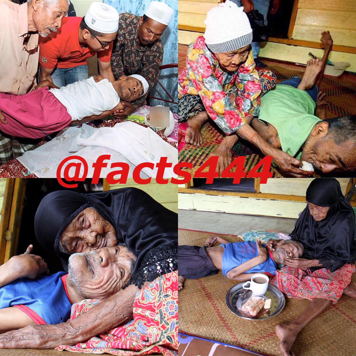 facts444 tweet picture