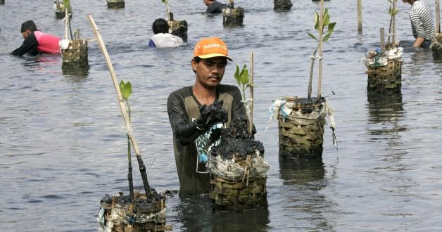 Which of the world’s great #forests store the most carbon per hectare? wef.ch/1D4TVcq #climatechange