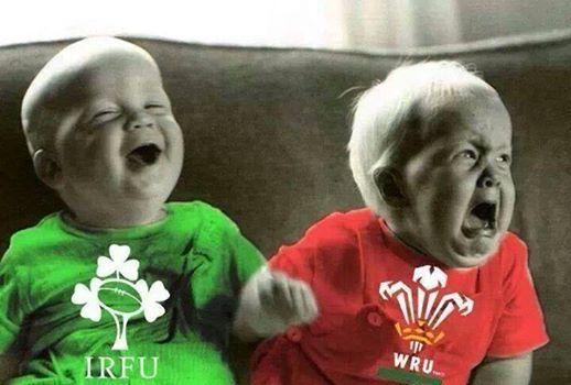 FollowIreland's tweet image. #RUGBY - Great win by #Ireland in Cardiff. Great things to come. @IRFURugby bbc.com/sport/0/rugby-…
