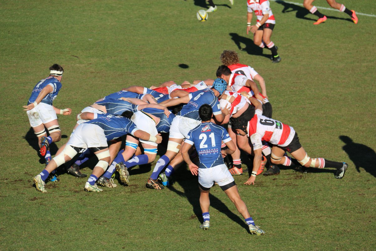 AdiFrancisonX's tweet photo. 7pm @abcnewsCanberra Thrills & spills from the 1st grade RU final #vikvroy @VikingsRugby @RoyalsRugby @BrumbiesRugby http://t.co/cILI9bsgEE