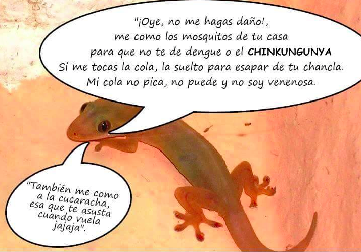 Flowernisse's tweet photo. HAJAJAJAJAJA ¿Por qué hacen esto?
#Cachora http://t.co/XW2Vjge3Wi