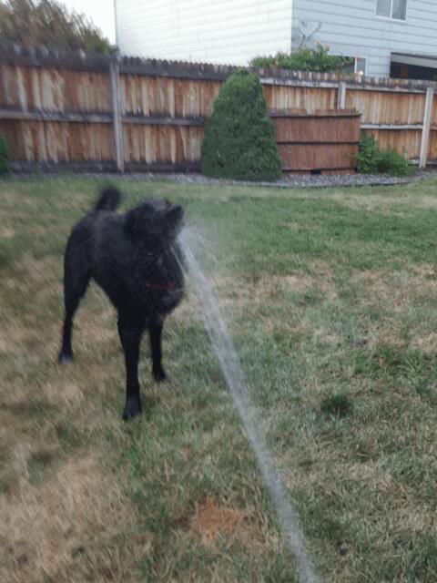 Jamesfiebiger's tweet image. Bitches and hose. #doublepun