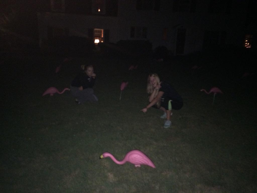 prhstubas's tweet photo. running through the wex coast #flocking #migration http://t.co/6oWPEzaN4f