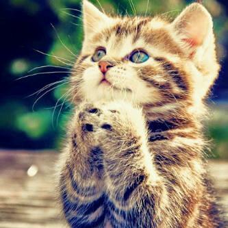 nsiti444's tweet photo. http://t.co/kiOG51druu