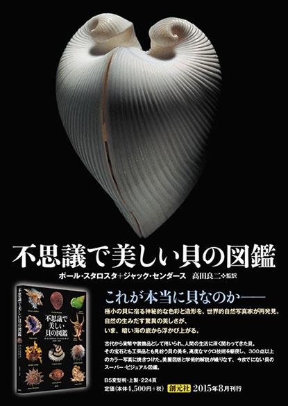 不思議で美しい貝の図鑑