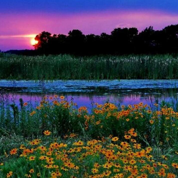 Хорошего летнего вечера. Красивого вечера. Хорошего летнего вечера. Красивая природа. Природа вечер.